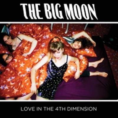 LOVE IN THE 4TH DIMENSION/LP
