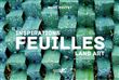 Inspiration land art, feuilles