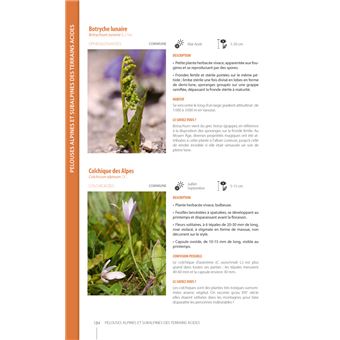 Guide illustré de la flore de Vanoise
