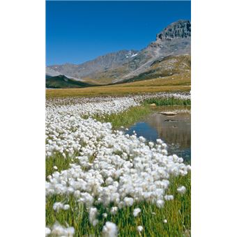 Guide illustré de la flore de Vanoise