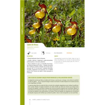 Guide illustré de la flore de Vanoise