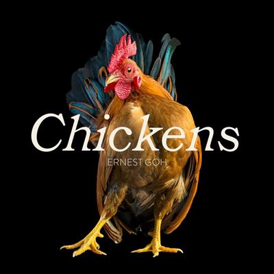 Kratos e as Galinhas na FNAC do NorteShopping – Rubber Chicken