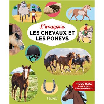 L'imagerie - Les chevaux et les poneys
