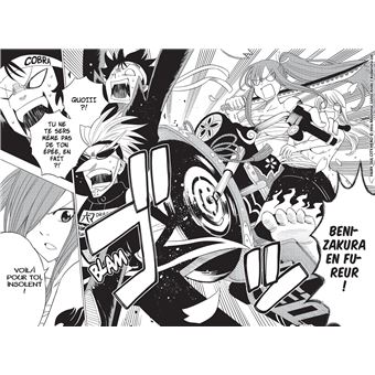 Fairy Tail - City Hero T01