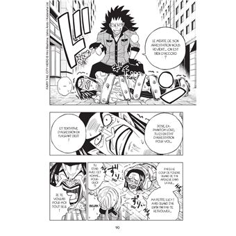 Fairy Tail - City Hero T01