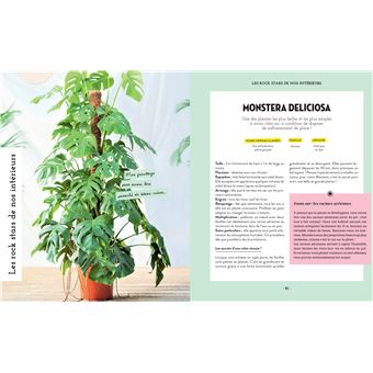 C'est décidé, j'arrête de me planter !