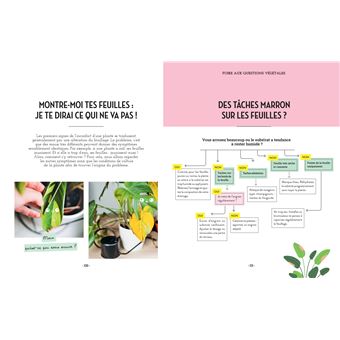 Bien démarrer un potager : les conseils du jardinier star de TikTok - Elle  Décoration
