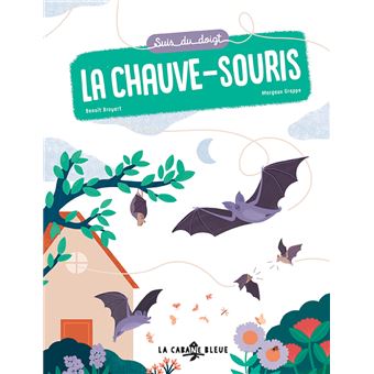 Suis du doigt la chauve-souris