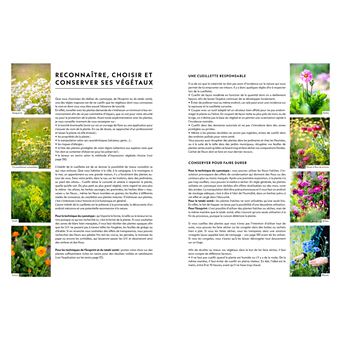 Impressions Végétales