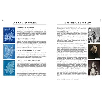 Impressions Végétales