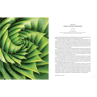 Hallucinants champignons - Leurs extraordinaires pouvoirs sur la santé, l'esprit et la planète