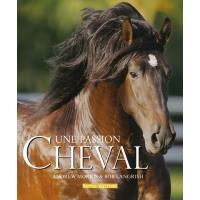 Cheval, une passion