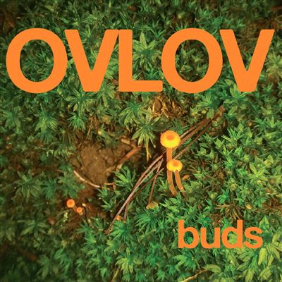 Buds Vinyle Vert