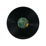 Violet Bent Backwards Over The Grass - Vinilo