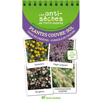 Les antisèches de Terre vivante : 25 plantes couvre-sol