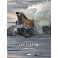 Compagnons
