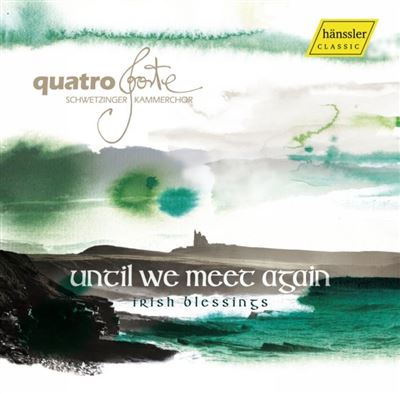 UNTIL WE MEET AGAIN-IRISH BLESSINGS