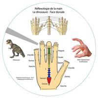 Planche Révélateur : le dinosaure