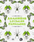 Araignees, lucioles, papillons