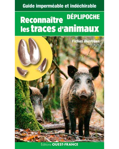Reconnaître les traces d'animaux