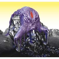Vulnicura (Limited Edition)