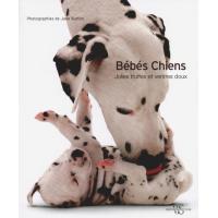 Bébés chiens - Jolies truffes et ventres doux