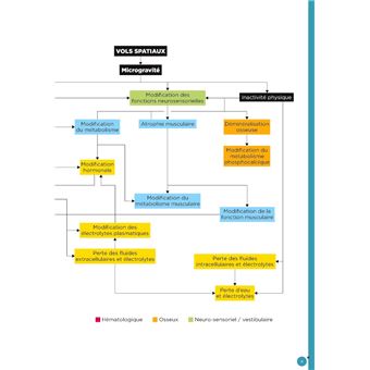 L'humain et l'espace
