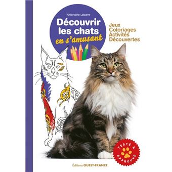 Découvrir les chats en s'amusant