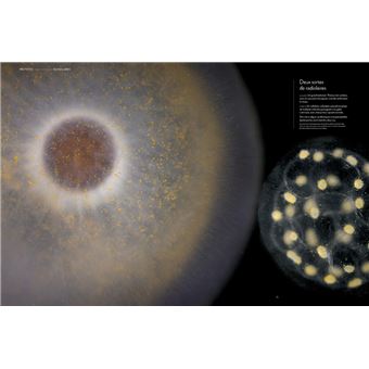 Plancton - Aux origines du vivant