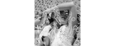 Vespertine, Edition limitée - 2 LP