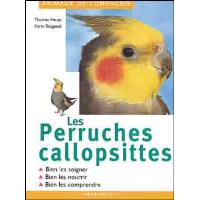 Les perruches callopsittes