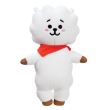 Peluche BTS Rj