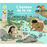 L'histoire de la vie, du big-bang jusqu'à toi