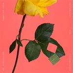 Caroline Shaw: Rectangles & Circumstance