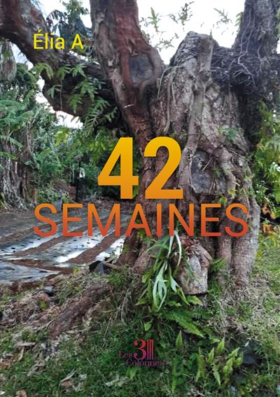 42 semaines -  Elia A. - broché