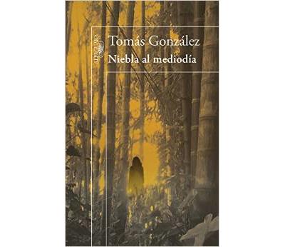 Niebla al mediodía - Tomas Gonzalez - Poche