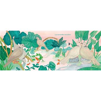 Chants d'oiseaux du jardin