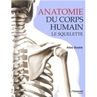 MGM - Explora - Anatomie squelette - Expérience anatomie - La Poste