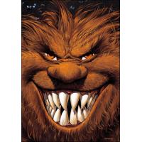 Coffret Millésimé 2011