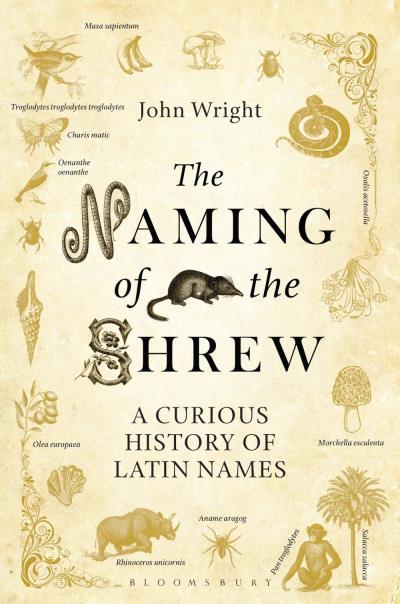 NAMING OF THE SHREW