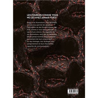 Fourmis - Vie et intelligence collective d'une colonie