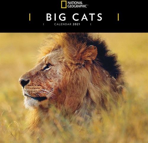 KALENDER 21 BIG CATS NG CRS