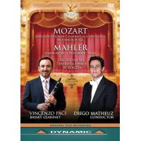 Basset clarinet concerto/