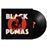 Black Pumas_0