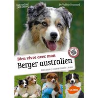 Bien vivre avec mon Berger Australien + Videos