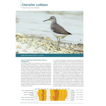 Atlas des Oiseaux Migrateurs de France (2 volumes)