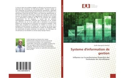 Systeme d'information de gestion - influence sur la performa