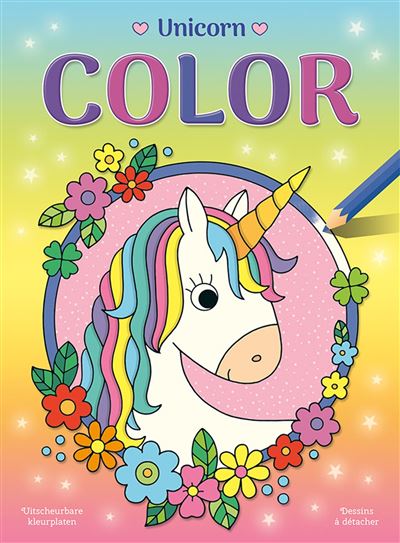 Unicorn color bloc de coloriage