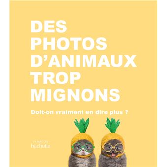 Des photos d'animaux trop mignons