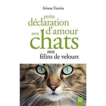 Petite déclaration d'amour aux chats